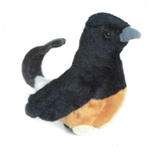 Obrázek z Ptáci plyš 20cm - White-rumped Shama 